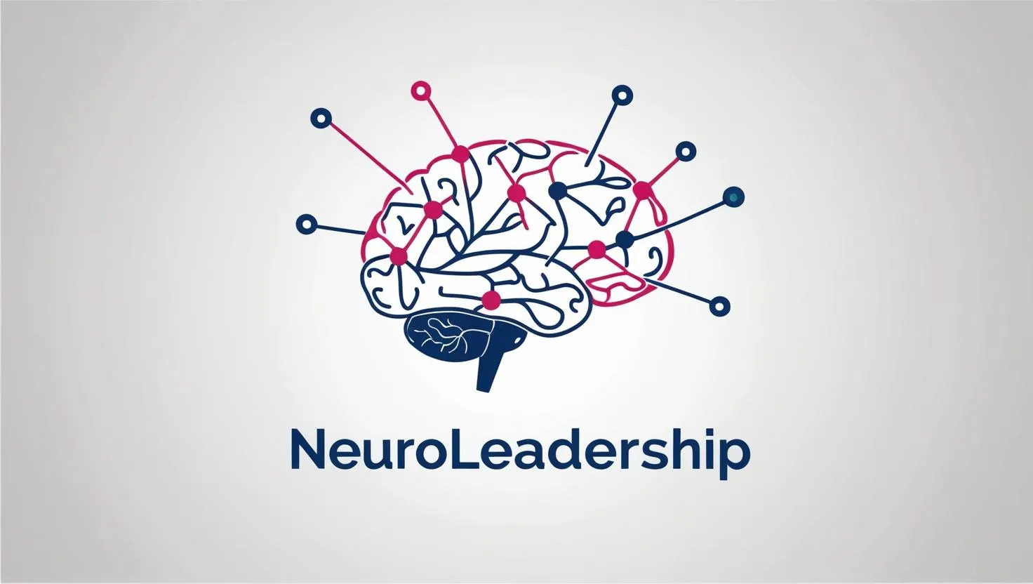 HR Neuroleadership Strategies